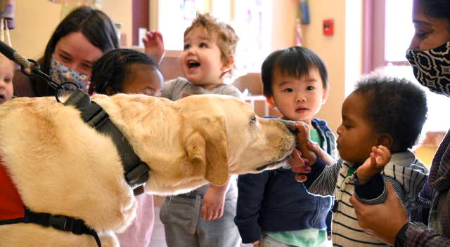 service dog being pet by young students during Buckeye Paws school event