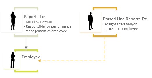 dotted reporting line