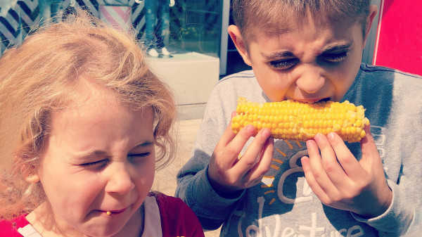 children eating ears of corn