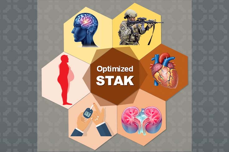 hexagonal graph with illustrations of food, medical diagrams and soldiers
